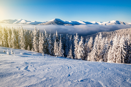 Aerial view of sunrise over mountains and forest in fresh snow