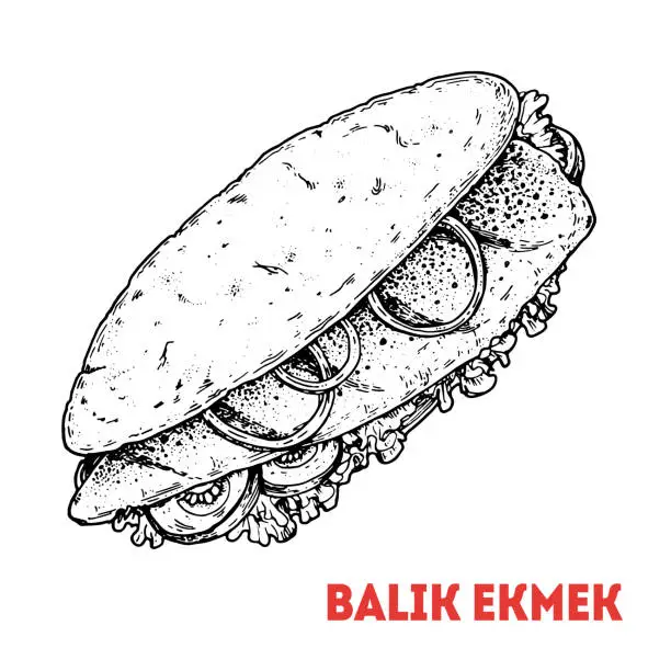 Vector illustration of Balik Ekmek sketch, Turkish food. Hand drawn vector illustration. Turkish street food. Sketch style. Top view. Vintage vector illustration.