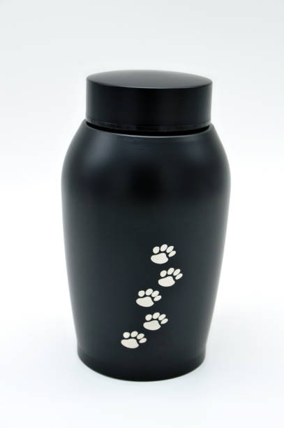 Pet urn Funeral urn for pets, after the cremation. cricket trophy stock pictures, royalty-free photos & images