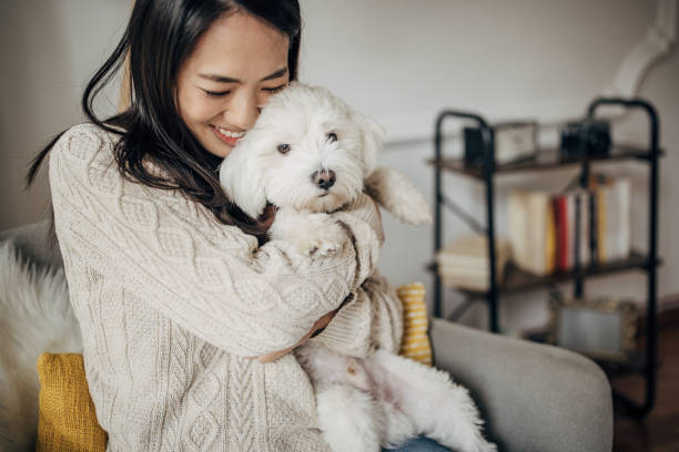 istock Woman hugging her dog 1453170409