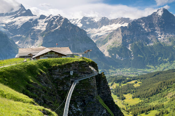 First, Switzerland - June 30, 2022:  Hikers ond tourist enjoying the view at the Cliff walk connected to the Berggasthaus First - pronunced-Fearst.