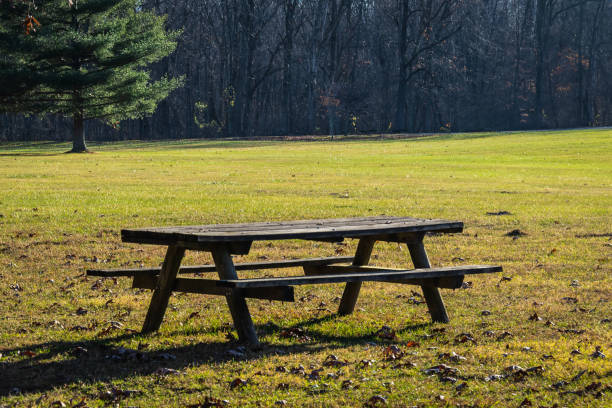 istock Old picnic tables in a park under an oak tree in the late fall 1453179994