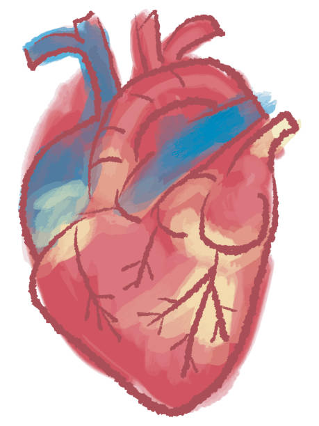 HeartPaintingVector vector art illustration