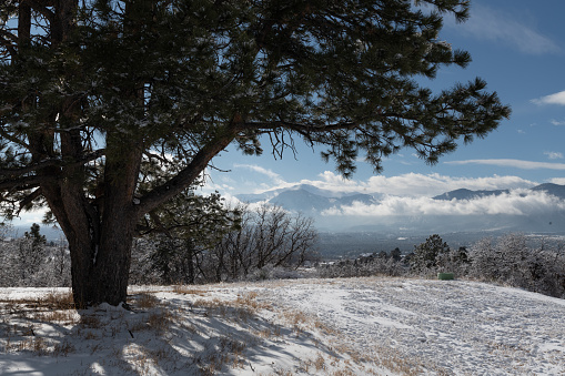 Pikes Peak scene with fresh snow seen from 15 miles northeast in Monument, Colorado, USA, North America