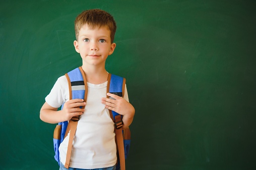 Back to school. Funny little boy near blackboard. Child from elementary school. Education.