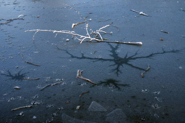 istock Frozen water and snow-covered stick 1453190906