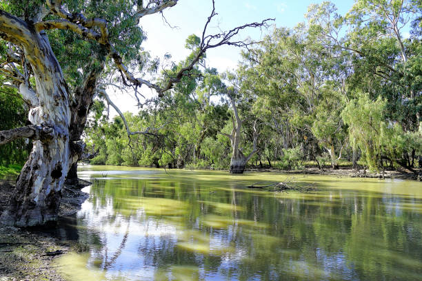 Deniliquin, New South Wales, Australia