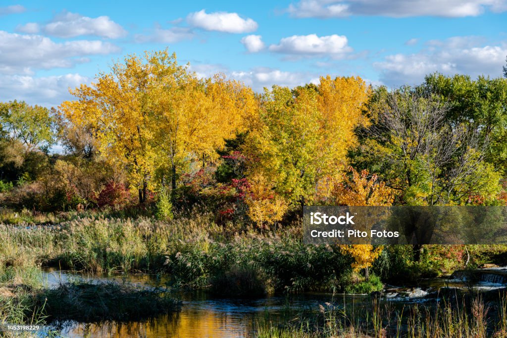 Autumn colors by the St. Lawrence river Architecture Stock Photo