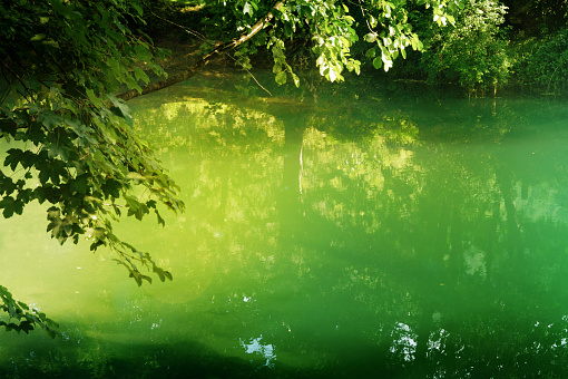 The green river Una
