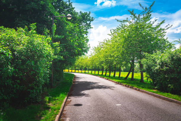 Driving along Country Roads, UK