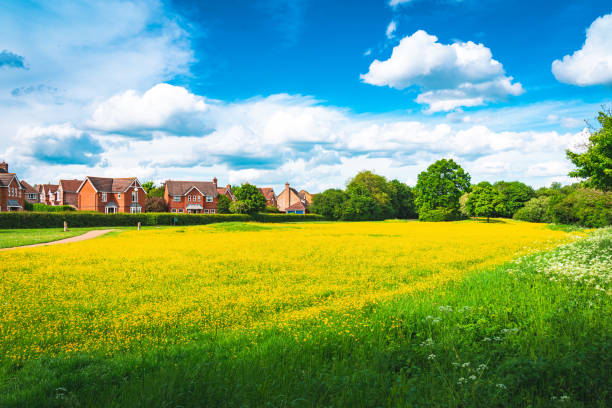 British town landscape view with blooming rapeseed foreground in england uk