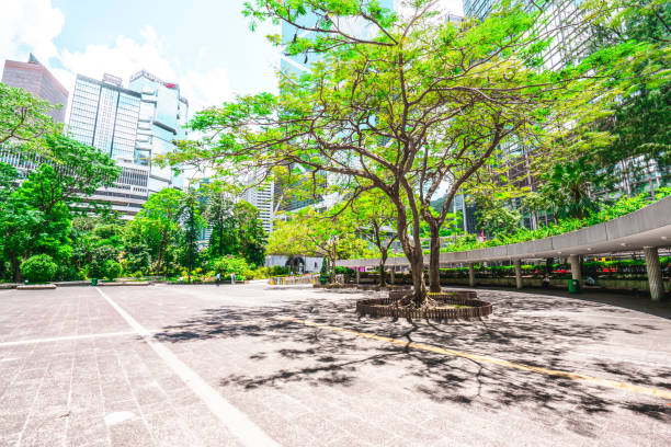istock A low angle shot of tall buildings in Hong Kong. 1453204792