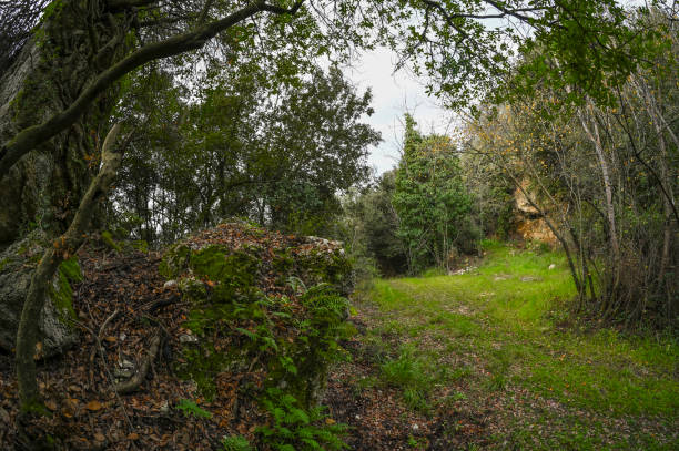 istock Landscape of the old mine 1453205998