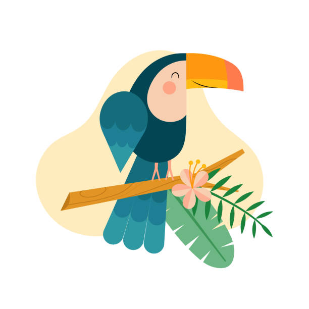 Cute toucan on a branch. Vector illustration in childish style of a cute toucan on a branch with palm leaves and flower. Scene isolated on white background. toucan white background stock illustrations