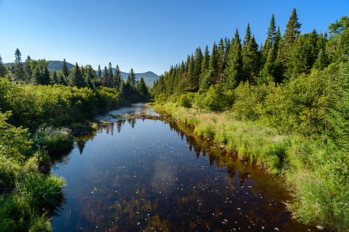 A beautiful lake in the Oregon Cascade range