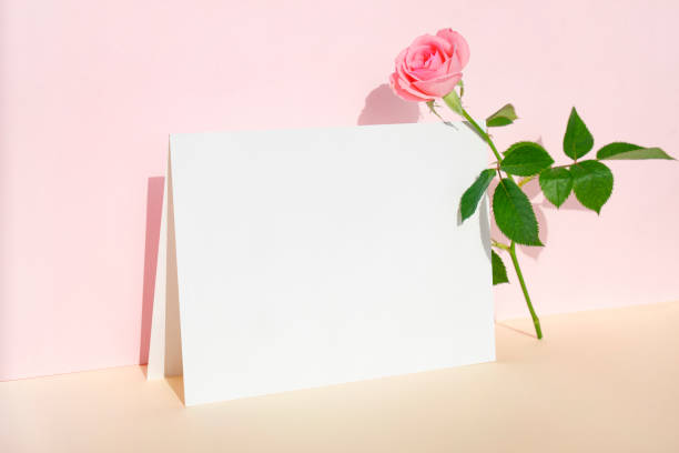 istock Flowers and Cards Mock-up 1453218112