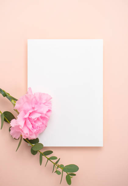 istock Flowers and Cards Mock-up 1453218172
