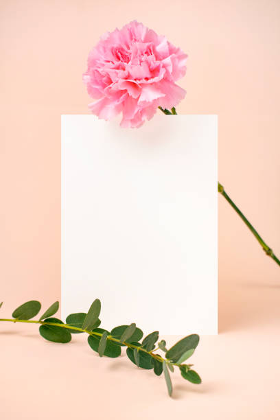 istock Flowers and Cards Mock-up 1453218174