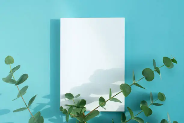 Photo of Eucalyptus and Card Mock-up