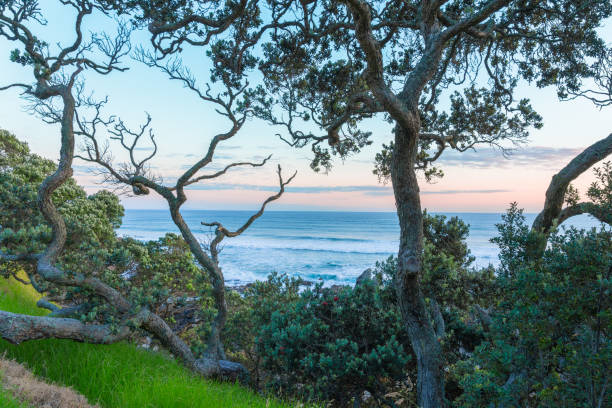 istock Mount Maunganui landscape at sunrise 1453218409