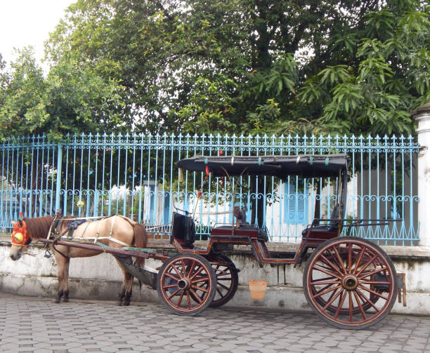 istock Horse cart 1453218644