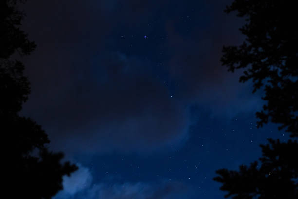 istock Night Sky Through the Trees Over Rocky Mountain National Park 1453223676