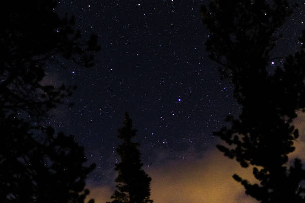 istock Night Sky Through the Trees Over Rocky Mountain National Park 1453223778