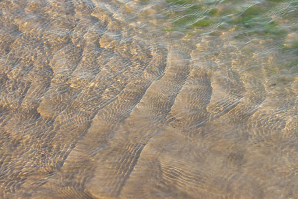 Clear water abstract background. Water surface.
