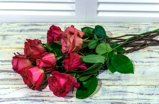 photo red, pink, purple roses