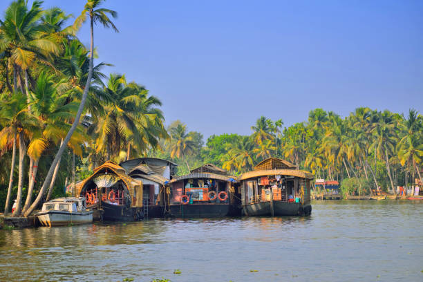 istock Houseboat kept in Alleppey backwaters in Kerala. 1453234552