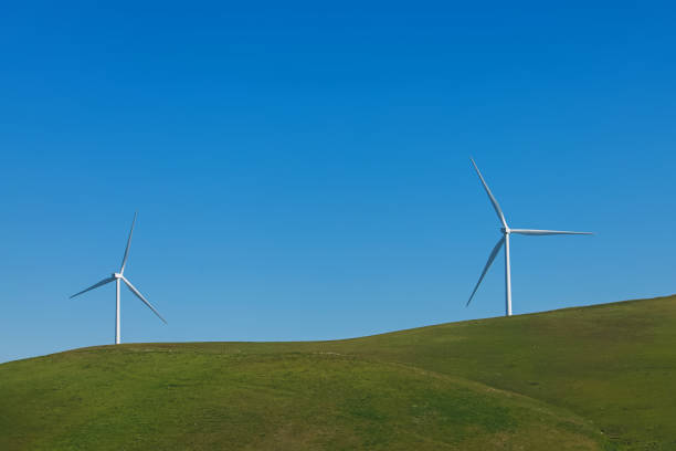 istock Wind turbines on the green meadow, renewable energy 1453238012