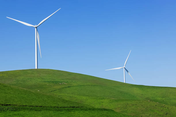 istock Wind turbines on the green meadow, renewable energy 1453238022