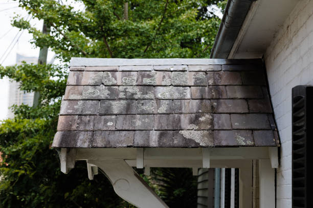 Small section of roof tiles with lichen.