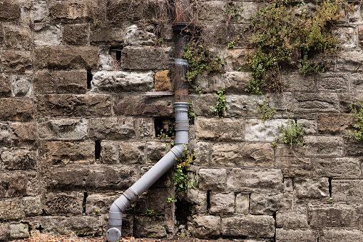 Old rock wall with plants and a metal and plastic pipe.