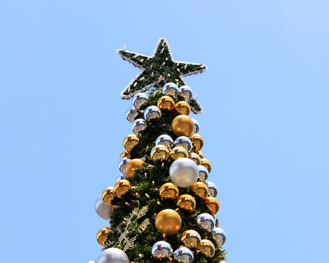 Top of a large Christmas tree with blue sky behind.