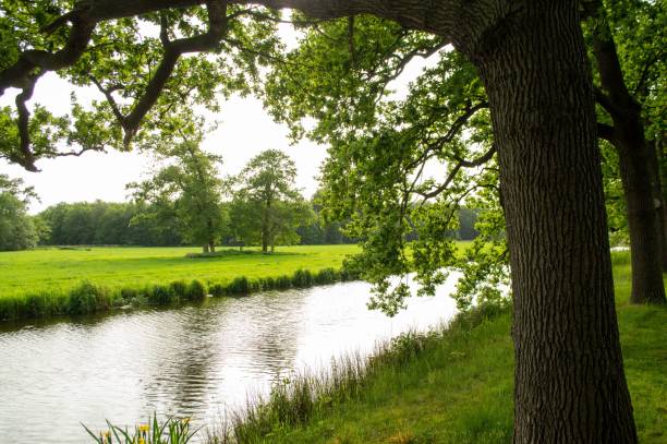 istock Beautiful flowing river through a rural green field 1453249577