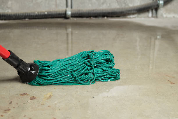 istock Cleaning up flood in electrical room or basement. 1453251556