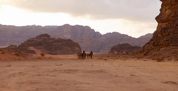 ヨルダンのワディラム砂漠のラクダの群れで、雲が平らな砂の風景の上を移動し、山々を背景に、 - two humped camel ストックフォトと画像
