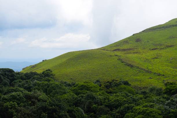 istock Scenic view of a green hill under light blue sky 1453254147