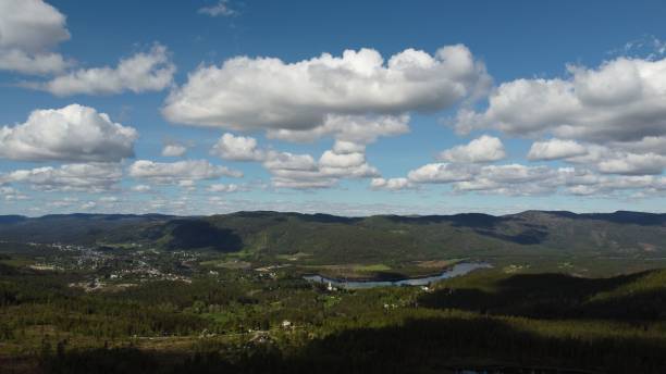 istock Aerial landscape of a forested hillside on a sunny day 1453255331