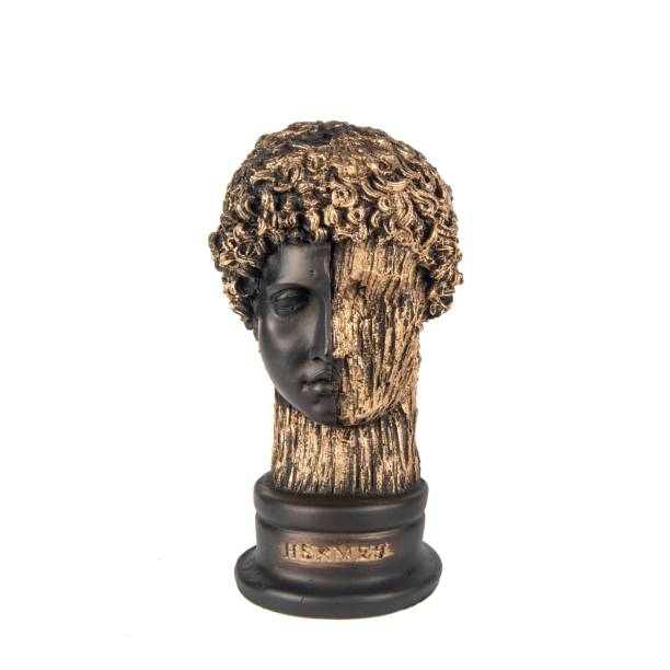 istock Hermes bust stone sculpture isolated on white background 1453256033