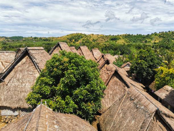 istock Thatched roof in Sade village 1453256280