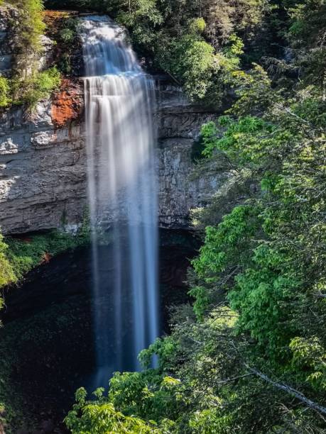 istock Vertical shot of a Fall Creek Falls waterfall flowing over the rock surrounded by trees 1453257741