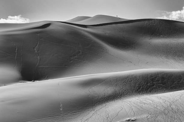 istock Scenic grayscale of empty deserts with camel footprints 1453257930