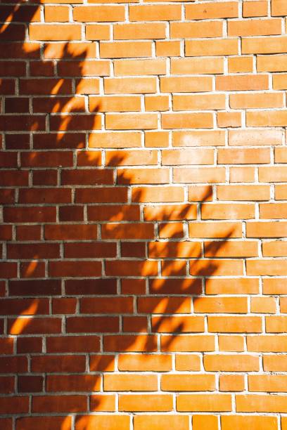istock Vertical shot of the red brick wall under sunlight with tree's shadow. 1453259575