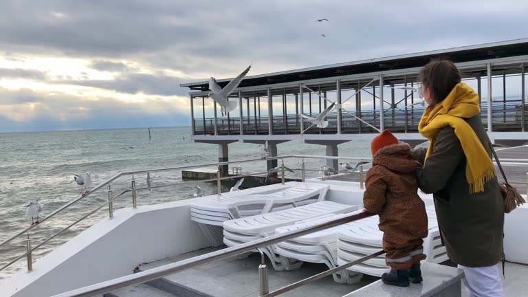 Mother feeding the seagulls with her baby son