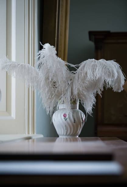 istock Vertical shot of white decorative feathers in a vase on a windowsill 1453260935