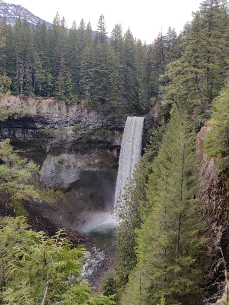 istock Vertical shot of a huge waterfall in a forest surrounded by tall trees and rocky cliffs 1453261451