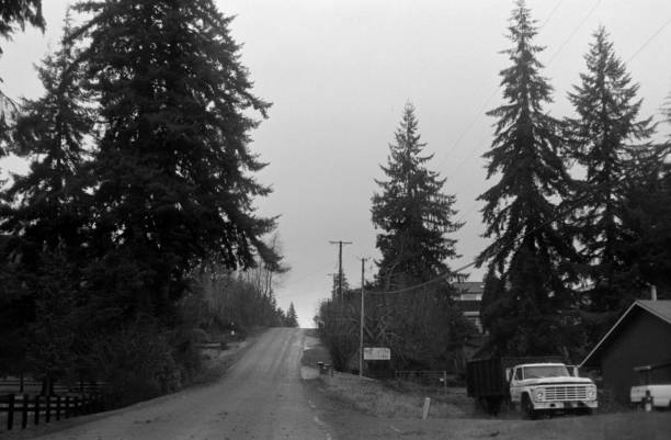 istock Narrow road constructed in the beautiful forest in black and white 1453262917