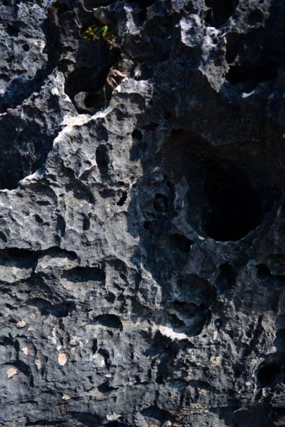 istock Vertical shot of solid rock in the coastal area 1453263021